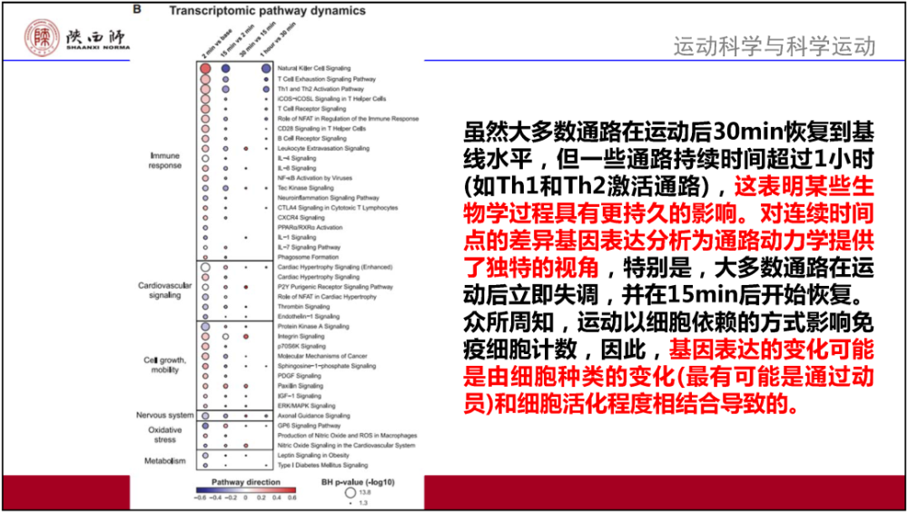 2024年澳门正版免费,效率资料解释落实_冒险款93.310