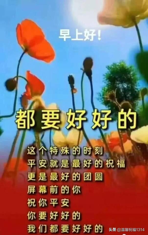 晨光熹微中的问候，最新早上好图片精选 2017版