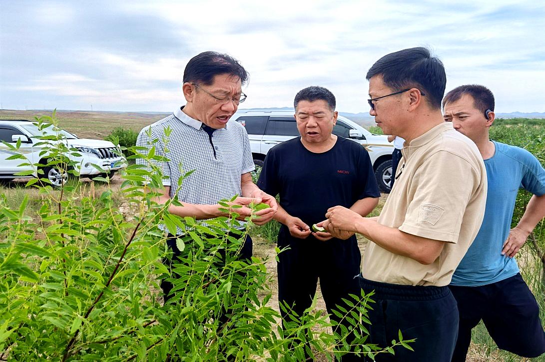 海原县交通运输局最新项目,海原县交通运输局最新项目，推动地方交通发展迈入新纪元