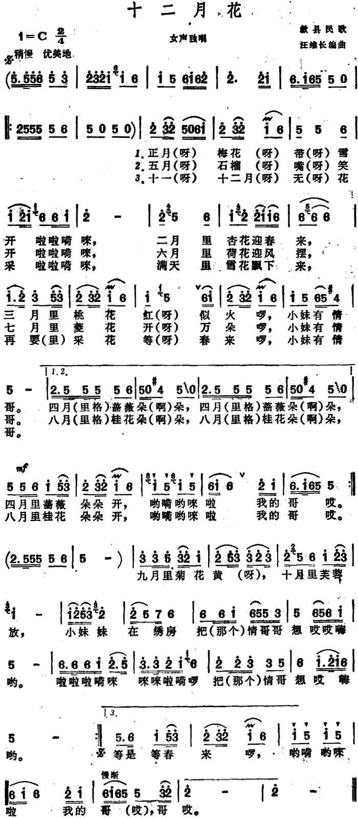 最新12月歌曲盘点，旋律中的季节情怀